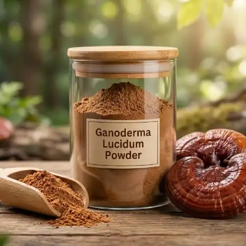 What does Ganoderma lucidum do for the body?